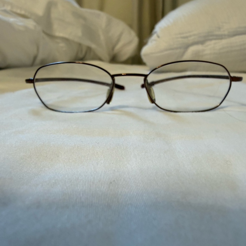 DKNY Chic Brown Wireframe Glasses